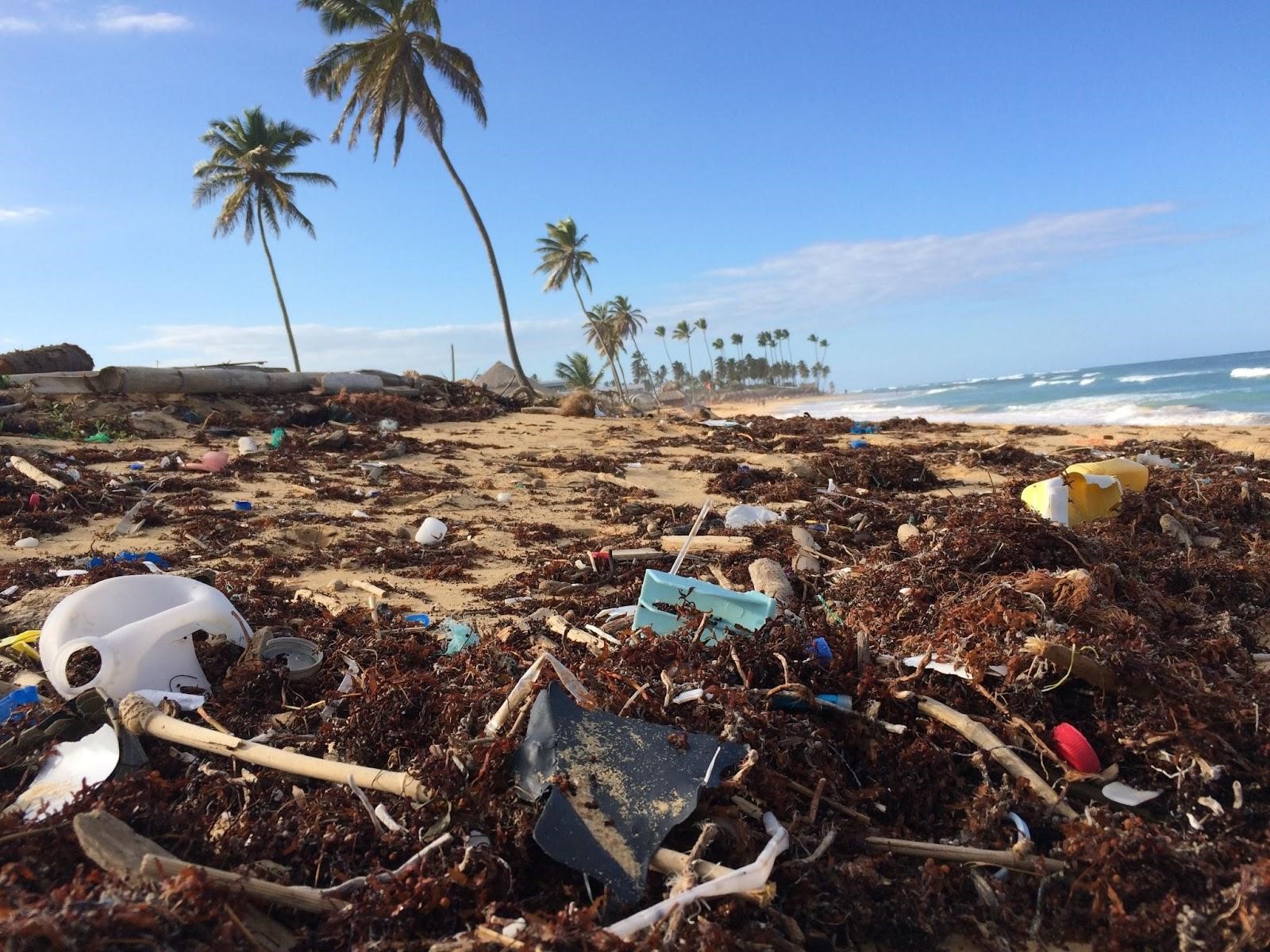 A tropical beach in Dominican Republic with a typical scenario of trash like plastic bottles and bits washed up on the shore